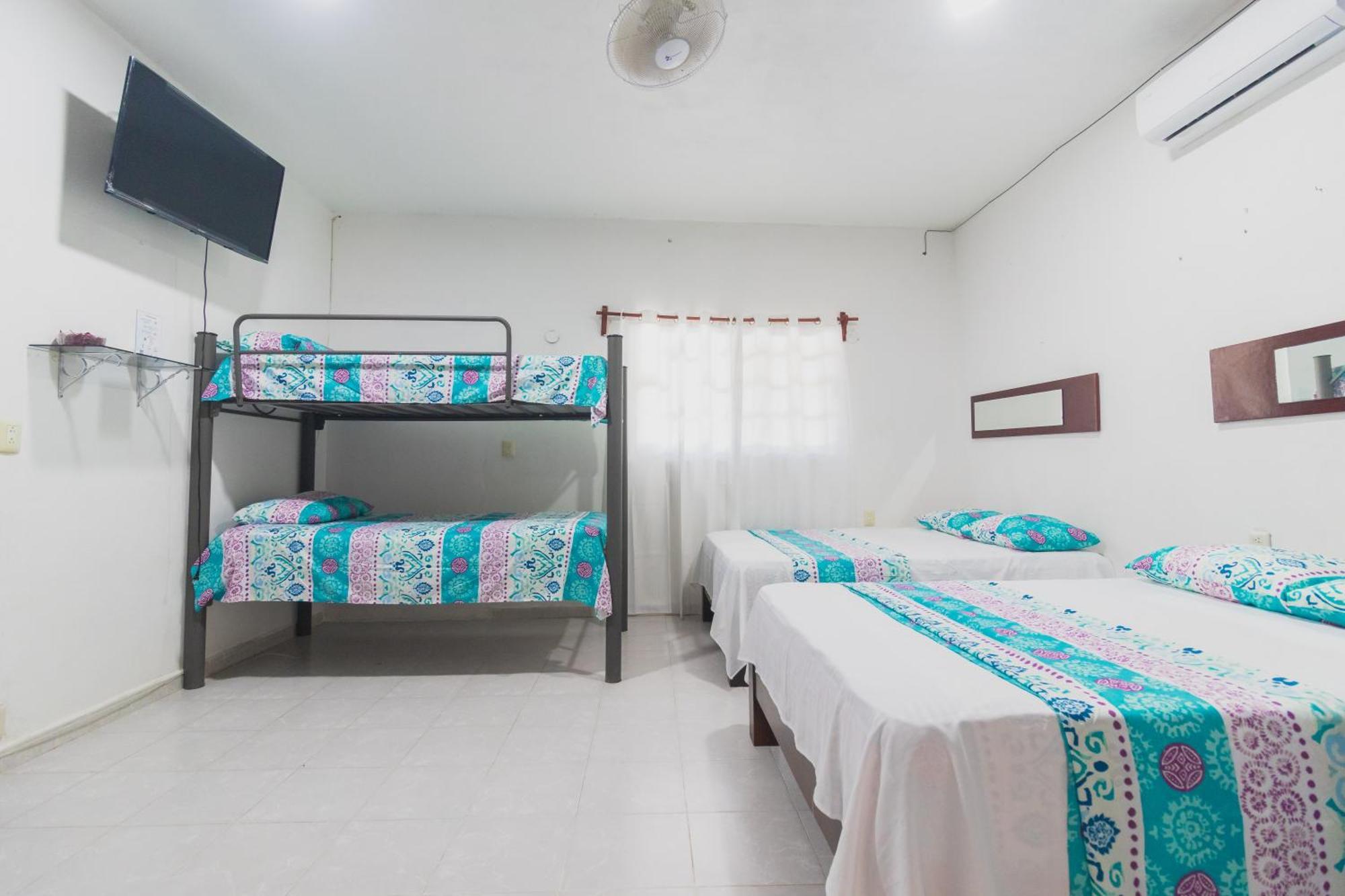 Zayali -