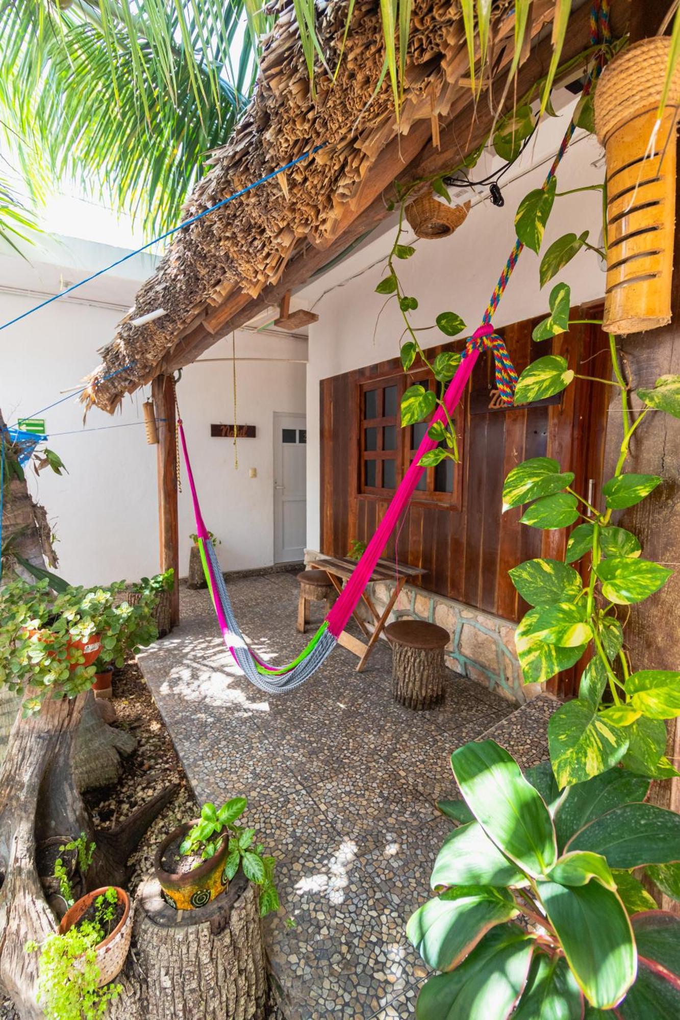 Zayali -