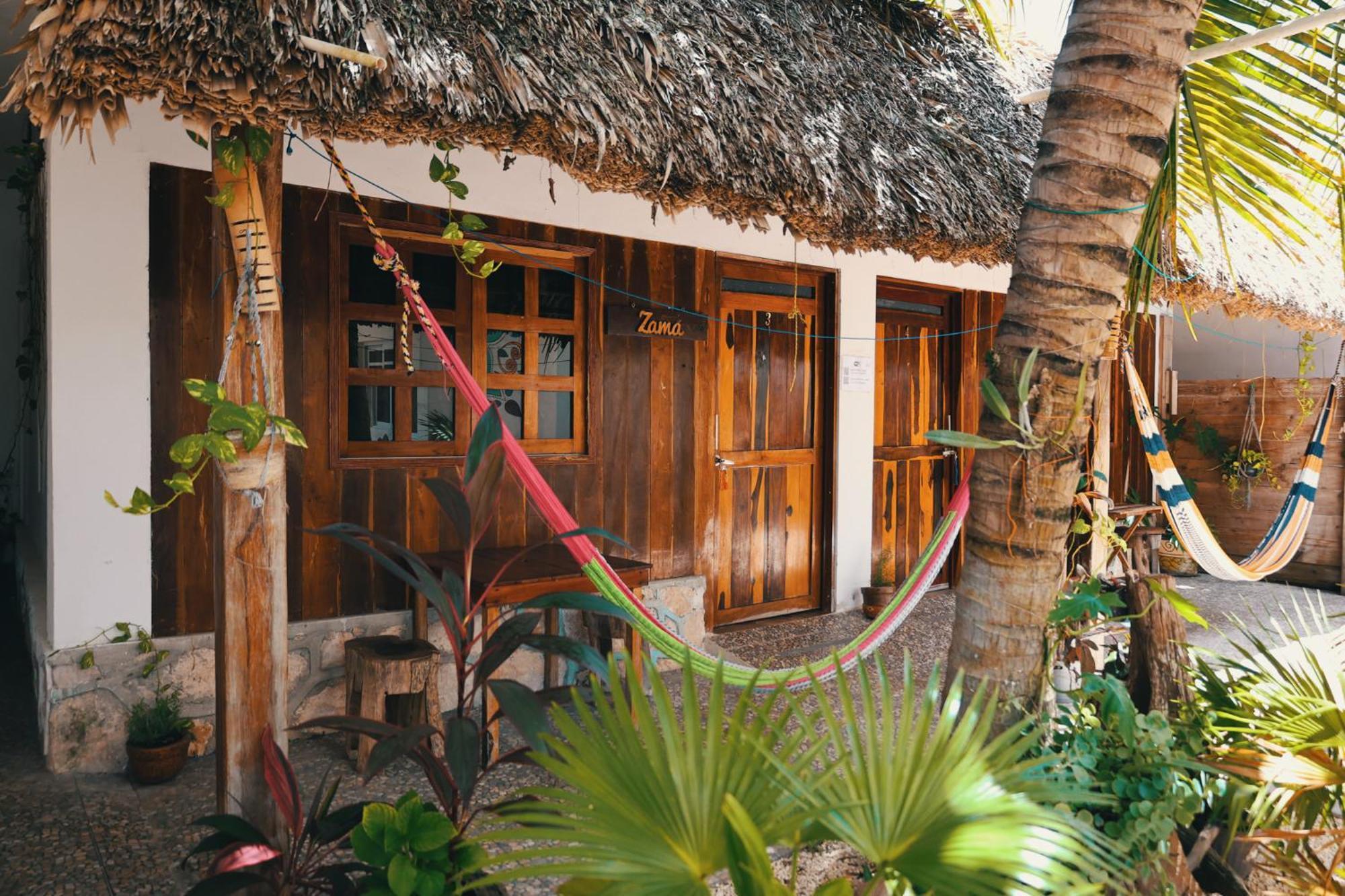 Zayali - Bacalar
