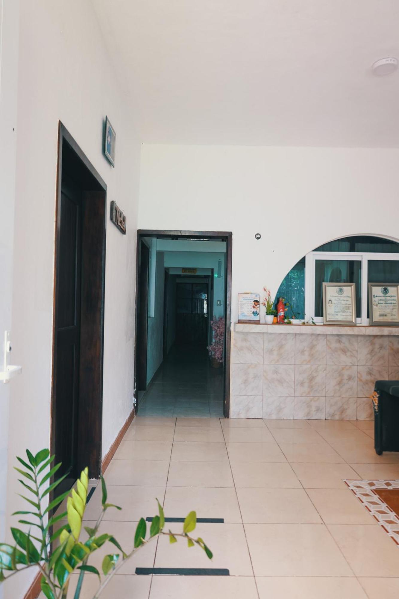 Zayali - Bacalar