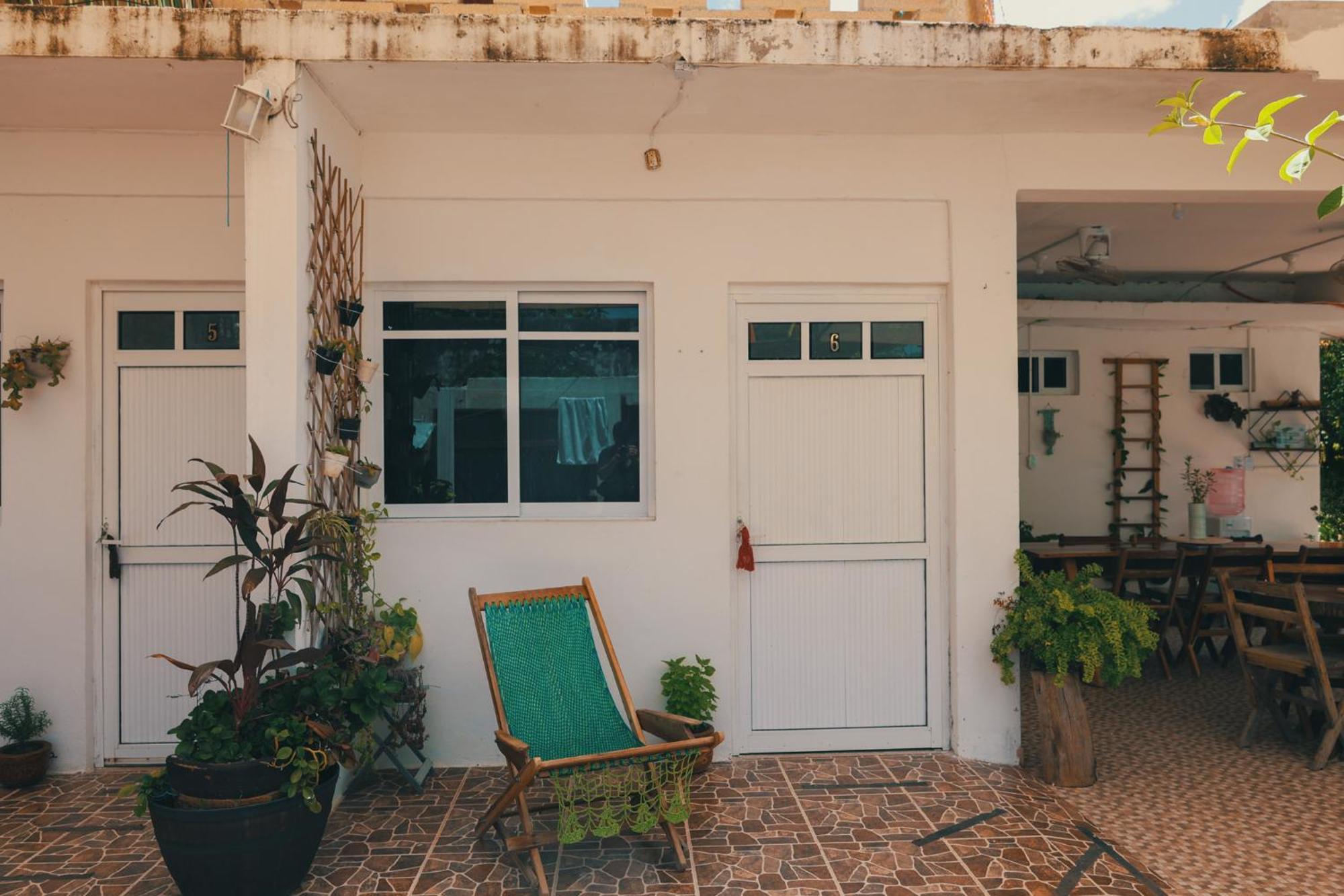 Zayali - * Bacalar