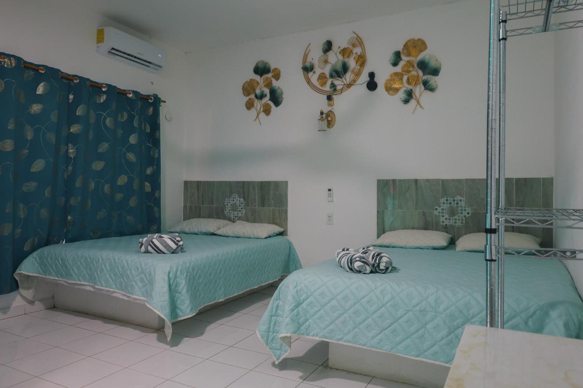 Zayali - * Bacalar
